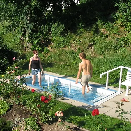 Apartment Wellness Zellertalblick Drachselsried